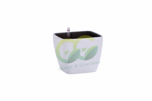 Mini Dumpy Square Pot H10.8cm