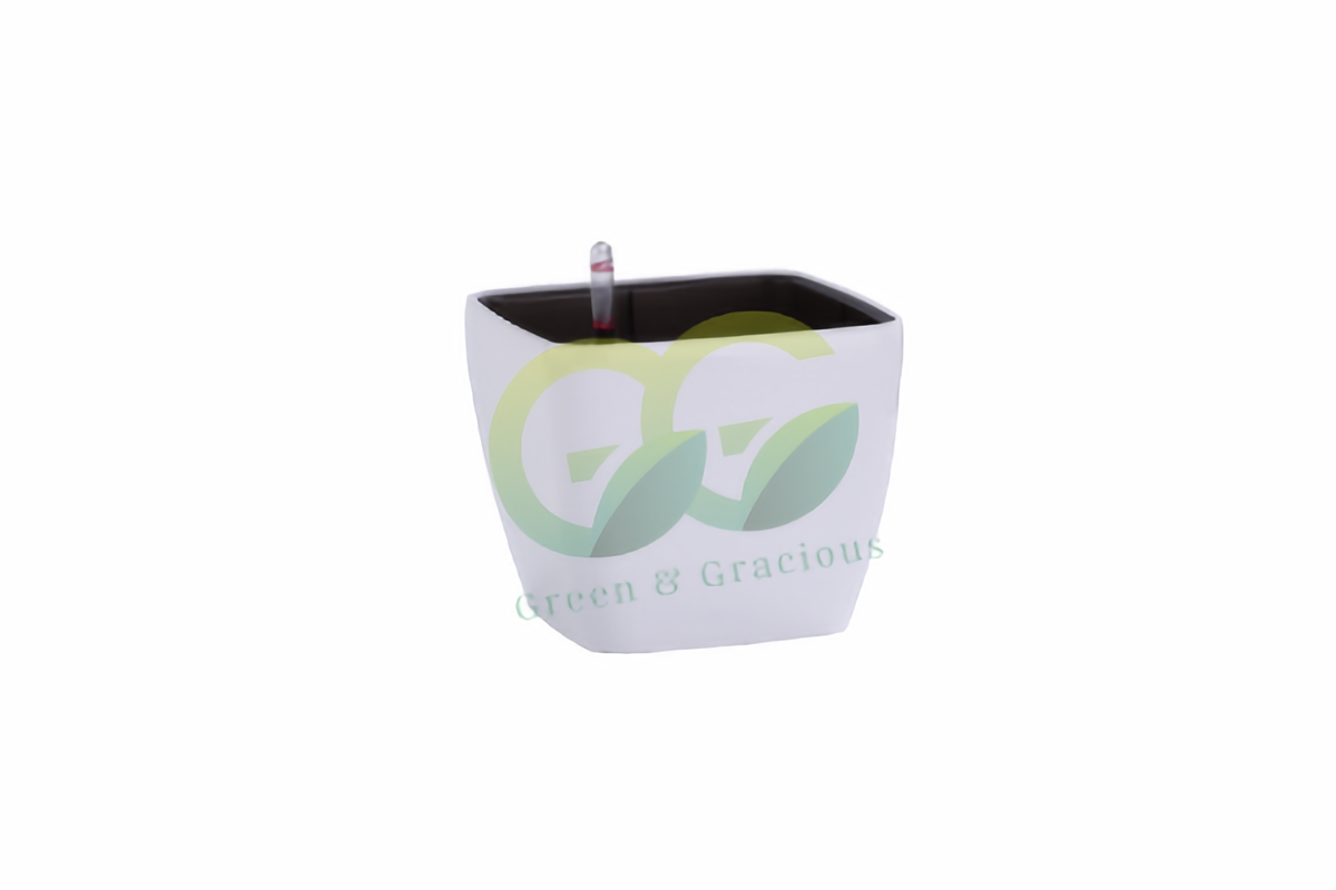 Dumpy Square Pot H17cm