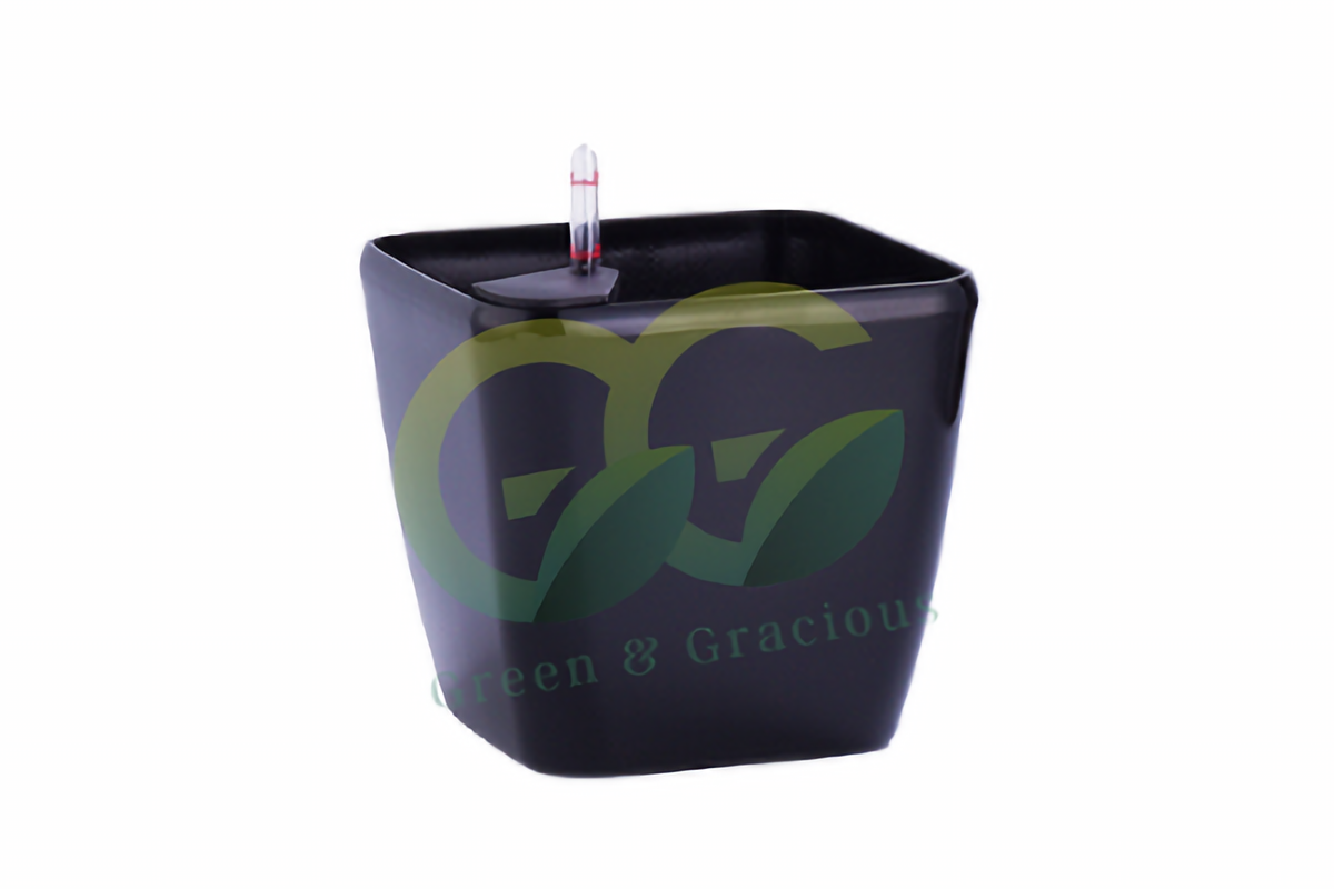 Dumpy Square Pot H35.5cm – G.G. Landscape + Construction Pte Ltd